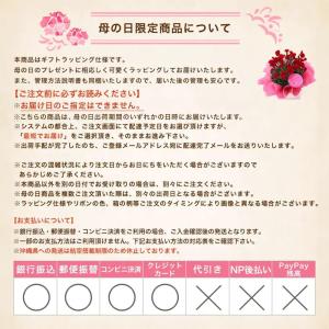 (観葉植物)シュガーバイン ブリキのジョーロ(...の詳細画像2