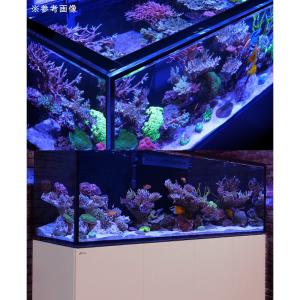 (大型)レッドシー REEFER 170 G3...の詳細画像4