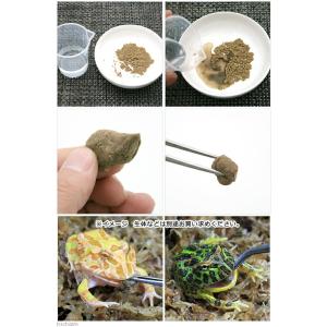 ツノガエル用フード 練り餌 「ff num30...の詳細画像1