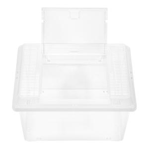 プラケース 飼育容器 小 クリア(225×15...の詳細画像2
