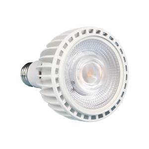 ゼンスイ　植物育成用ライト　ＰＬＡＡＲＥＡ　ＥｖｅｒＳｕｎ　３６５　ＬＷ　暖色　ＷＨＩＴＥ　ＬＥＤ　２０００ｌｍ　ｐｐｆｄ　５５０