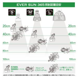 ゼンスイ 植物育成用ライト PLAAREA E...の詳細画像2
