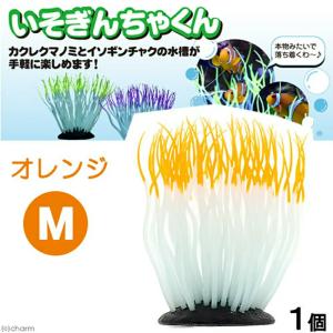 カミハタ いそぎんちゃくん M オレンジ 水槽...の詳細画像1