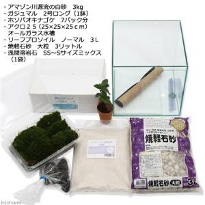 (観葉植物)苔テラリウム レイアウトセット 〜...の詳細画像1