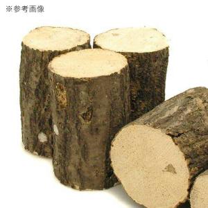 コナラ産卵木 中目 良材 1本の詳細画像1