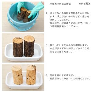 コナラ産卵木 中目 良材 1本の詳細画像3