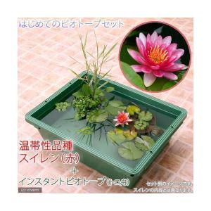 (ビオトープ)(めだか)本格派ビオトープセット...の詳細画像1