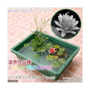 (ビオトープ)(めだか)本格派ビオトープセット...の詳細画像1