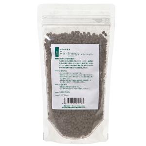 Ｆｅ　Ｅｎｅｒｇｙ（エフイーエナジー）　４００ｇ　５ｍｍ　（水草の栄養素）