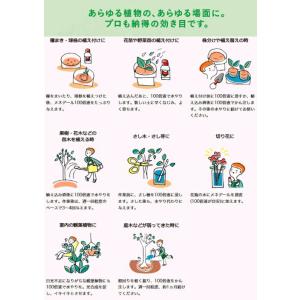 メネデール 植物活性素 500mLの詳細画像2