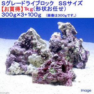 （海水魚）Ｓグレードライブロック　ＳＳサイズ（１ｋｇ）（形状お任せ）