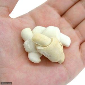 マルカン ぷちクロワッサン 40g 小動物 おやつの詳細画像1