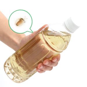 （生餌）死着保証なし　オオミジンコ入り飼育水（５００ｍｌ）　３本セット　活餌