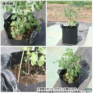 プランター タフガーデンバッグ GB直径30H...の詳細画像3