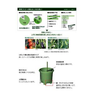 プランター リッチェル 菜園上手 丸36型(グ...の詳細画像1