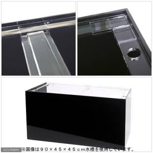メーカー直送 アクリル水槽 アクリルクリアタン...の詳細画像1