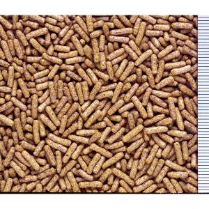 キョーリン カメプロス 70g (小スティック...の詳細画像2