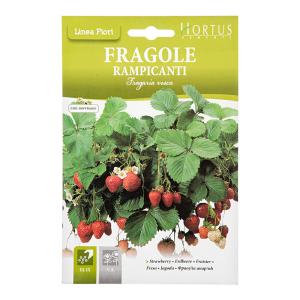 ＨＯＲＴＵＳ　イタリアの花の種　アルパインストロベリー　Ａｒｔ．Ｆ０１４　家庭菜園｜charm 第2ヤフー店