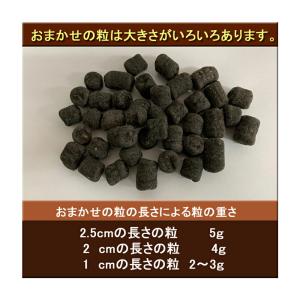 東商 超醗酵油かす おまかせ 中粒 2.5kg...の詳細画像1