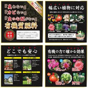 東商 超醗酵油かす おまかせ 中粒 2.5kg...の詳細画像2