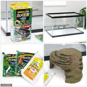 GEX カメの楽園 450 カメ元気 カメ飼育...の詳細画像1