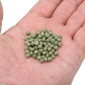 コメット カメのごはん 納豆菌配合 150g ...の詳細画像1