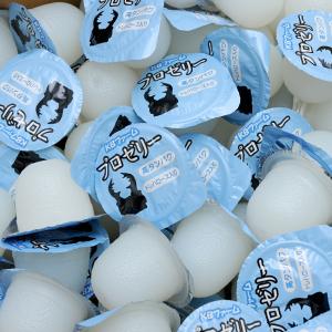 昆虫ゼリー プロゼリー(16g 500個入り)...の詳細画像1