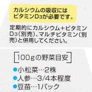 GEX エキゾテラ カルシウム 40g 爬虫類...の詳細画像5