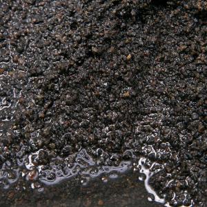 底砂　Ｎｏ．１１５　溶岩砂　プレミアム　９リットル　Ｖｏｌｃａｎｏ　底床　水槽