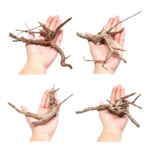 煮込み済み スリムルーツウッド Sサイズ 10...の詳細画像2