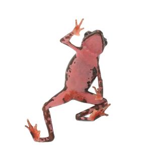 (両生類)ベニモンフキヤガマ WC個体(1匹)の詳細画像1