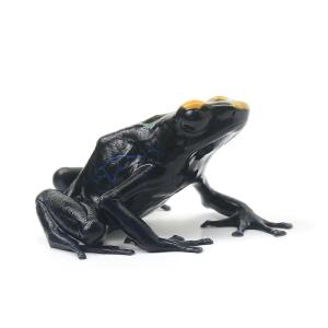 （両生類）アイゾメヤドクガエル　トゥルー　シパリウィニ“ｔｒｕｅ　ｓｉｐａｌｉｗｉｎｉ”（１匹）　北海道・九州航空便要保温