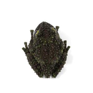 (両生類)一点物 ベトナムコケガエル WC個体...の詳細画像1