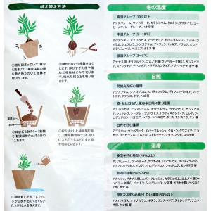 培養土 プロトリーフ 観葉植物の土 14L お...の詳細画像1