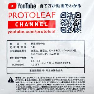 培養土 プロトリーフ 観葉植物の土 14L お...の詳細画像2