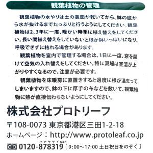 培養土 プロトリーフ 観葉植物の土 14L お...の詳細画像3
