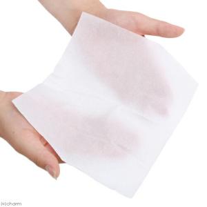トイレに流せるティッシュ ドライタイプ 250...の詳細画像2