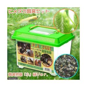 (めだか)ヒメダカ飼育セット(飼育容器 小 緑(...の商品画像