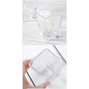 ガラスベース スクエアグラス M エアプランツ...の詳細画像3