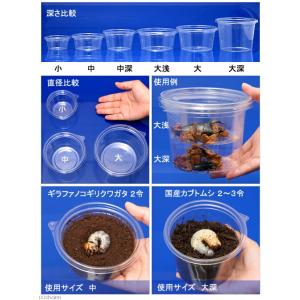 プリンカップ 中 約170ml×50個 (DT...の詳細画像2