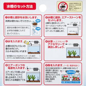 GEX 金魚飼育4点セット GF-1 30〜4...の詳細画像3