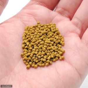 コメット ニオイガメの主食 小型用 55g 爬...の詳細画像1