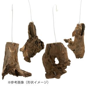 形状お任せ ハンギング用流木 Mサイズ インテ...の詳細画像2