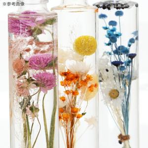 ハーバリウム用オイル ミネラル系 100ml ...の詳細画像2