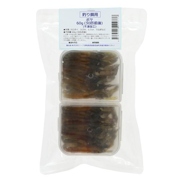 冷凍★釣り餌用　ボケ　不凍加工　６０ｇ（３０匹前後）　ぶっこみ釣り　海上釣堀　釣り堀　つりえさ　釣り...