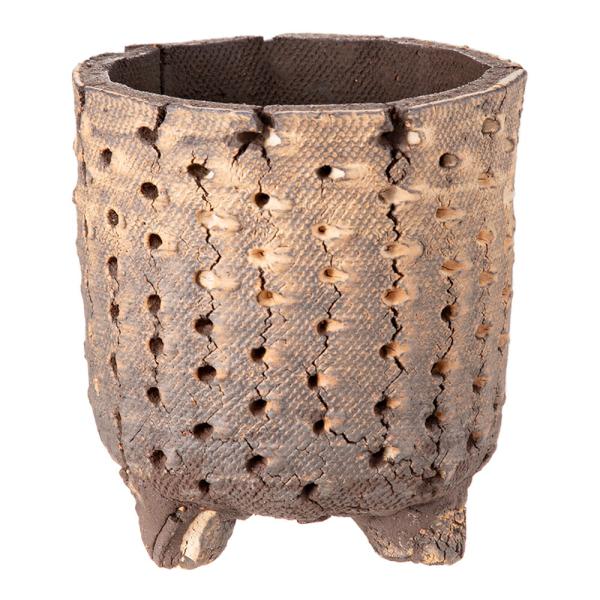 鉢　信楽焼　ＣＯＭ　ＷＯＲＫ　ＳＴＵＤＩＯ作　ＣＭＢ−９