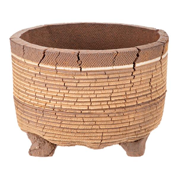 鉢　信楽焼　ＣＯＭ　ＷＯＲＫ　ＳＴＵＤＩＯ作　ＣＬＢ−５