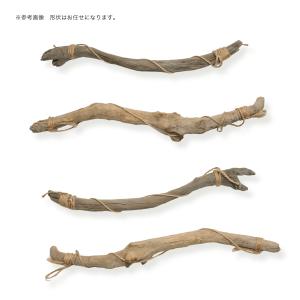 形状お任せ ハンギング流木 棒状タイプ Sサイ...の詳細画像1