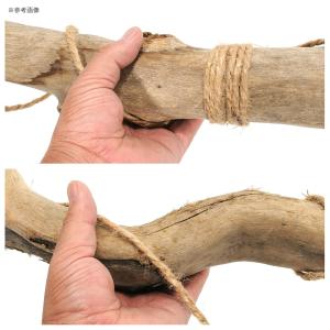 形状お任せ ハンギング流木 棒状タイプ Mサイ...の詳細画像2