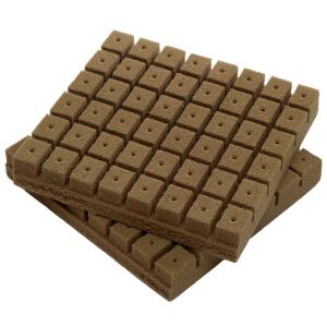 育苗用培地　オアシス（Ｒ）ホルティキューブ　吸水ブロック　株分け